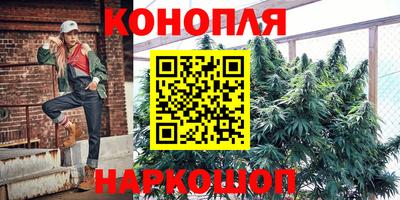 индика Чебаркуль