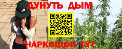 индика Чебаркуль